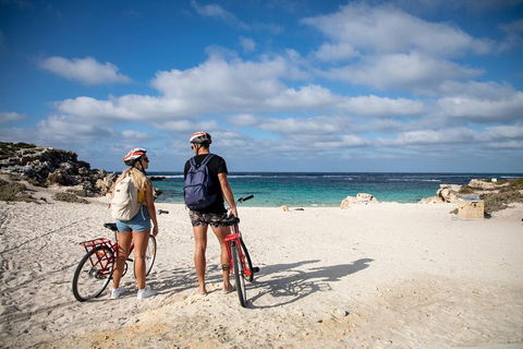Experience Rottnest With Ferry & Bike Hire From Perth Or Fremantle - Accommodation Brisbane 5