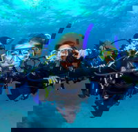 Great Barrier Reef Diving and Snorkeling Cruise from Cairns - Accommodation Brisbane