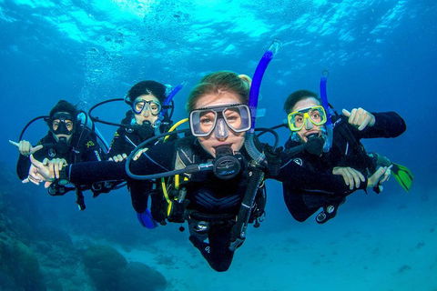Great Barrier Reef Diving And Snorkeling Cruise From Cairns - Accommodation Brisbane 0