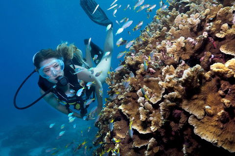 Great Barrier Reef Diving And Snorkeling Cruise From Cairns - Accommodation Brisbane 1