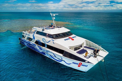 Great Barrier Reef Diving And Snorkeling Cruise From Cairns - Accommodation Brisbane 5