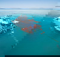 Ocean Freedom Great Barrier Reef Personal Luxury Snorkel  Dive Cruise Cairns - Accommodation Brisbane