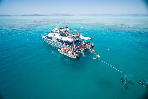 Ocean Freedom Great Barrier Reef Personal Luxury Snorkel & Dive Cruise, Cairns - Accommodation Brisbane 0