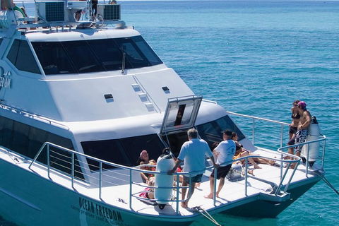 Ocean Freedom Great Barrier Reef Personal Luxury Snorkel & Dive Cruise, Cairns - Accommodation Brisbane 1