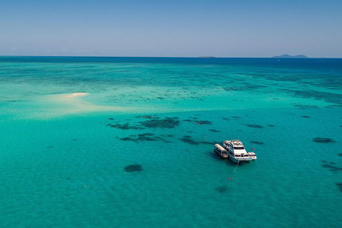 Ocean Freedom Great Barrier Reef Personal Luxury Snorkel & Dive Cruise, Cairns - Accommodation Brisbane 2