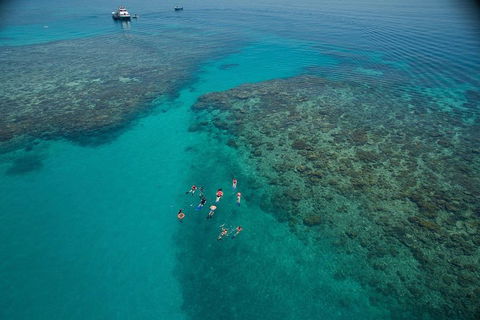 Ocean Freedom Great Barrier Reef Personal Luxury Snorkel & Dive Cruise, Cairns - Accommodation Brisbane 3