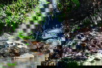 Full Day Small Group Luxury Tour to Tamborine Mountain, Brisbane