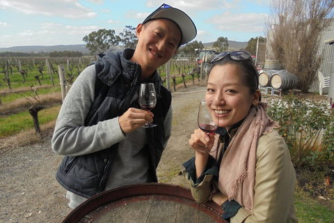 Swan Valley River Cruise And Wine Tasting Day Trip From Perth - Accommodation Brisbane 0