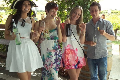 1/2 Day Swan Valley Wine Cheese & Chocolate Tour Inc Afternoon Cruise To Perth - Accommodation Brisbane 4