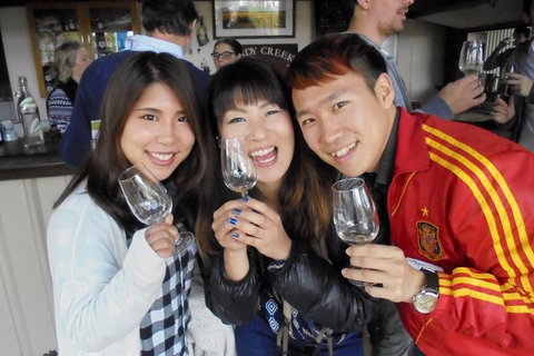 Wine Tasting Day Trip And Swan Valley River Cruise To Perth - Accommodation Brisbane 3