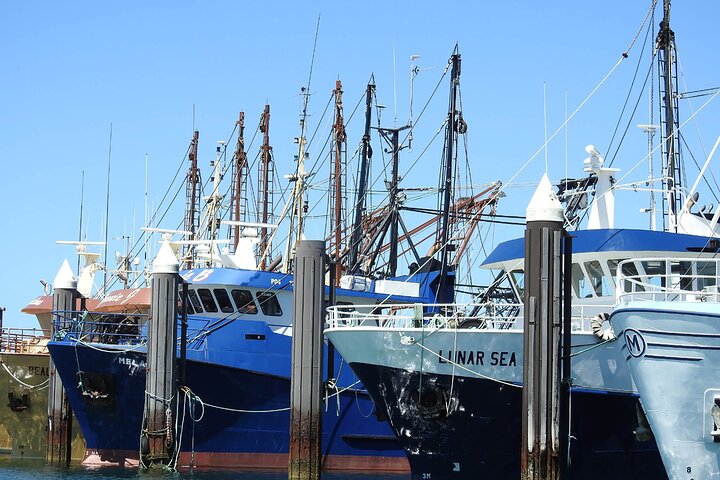  Accommodation Brisbane