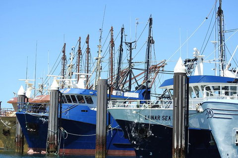 One Day Port Lincoln Tour - Tasting Eyre - Accommodation Brisbane 0