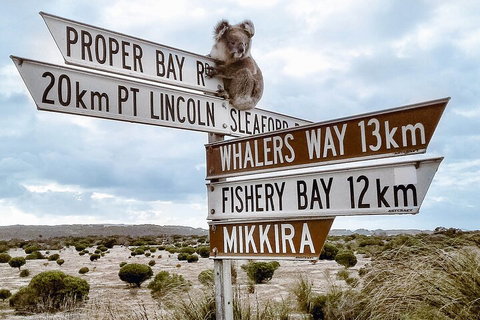 One Day Port Lincoln Tour - Tasting Eyre - Accommodation Brisbane 2