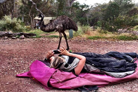 6 Day Esperance & Margaret River Adventure Tour - Accommodation Brisbane 5