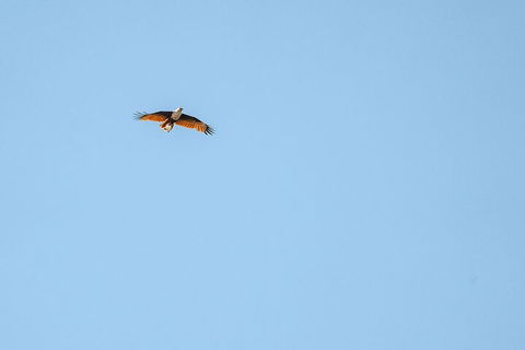 North Stradbroke Island Day Trip From Brisbane - Accommodation Brisbane 4