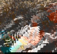 Springbrook andTamborine Rainforest Tour Incl Natural Bridge and Glow Worm Cave - Accommodation Brisbane