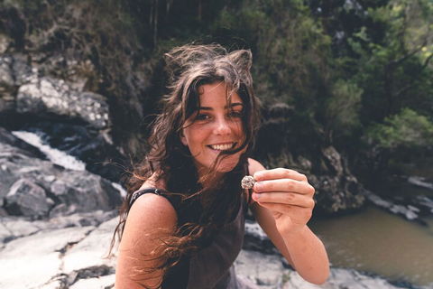 Springbrook AndTamborine Rainforest Tour Incl Natural Bridge And Glow Worm Cave - Accommodation Brisbane 1