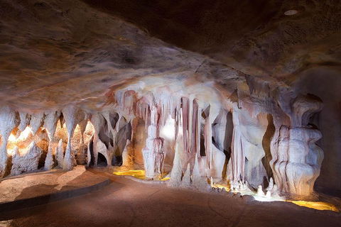Springbrook AndTamborine Rainforest Tour Incl Natural Bridge And Glow Worm Cave - Accommodation Brisbane 4