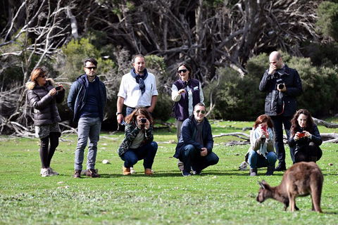 Small-Group Kangaroo Island 4WD Tour From Adelaide - Accommodation Brisbane 2