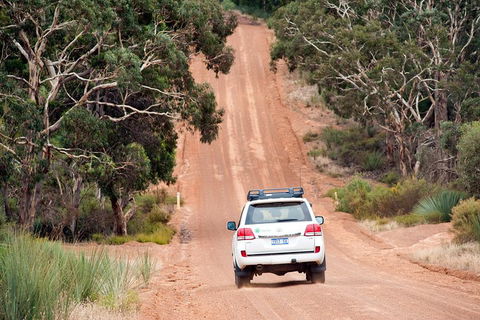 Small-Group Kangaroo Island 4WD Tour From Adelaide - Accommodation Brisbane 3