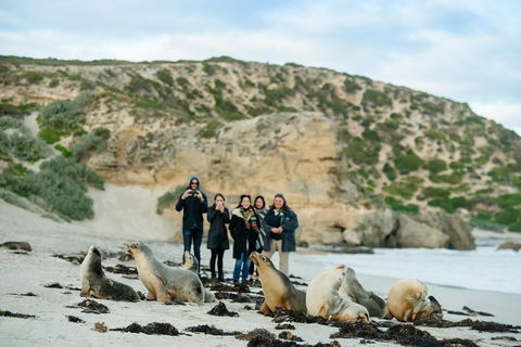 Small-Group Kangaroo Island 4WD Tour From Adelaide - Accommodation Brisbane 4