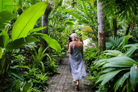 Cairns City Sights And Surrounds Tour - Accommodation Brisbane 2