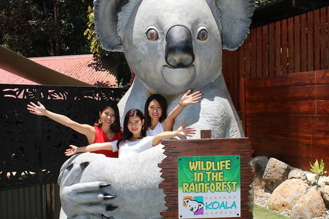 Kuranda Koala Gardens And Birdworld Admission Tickets - Accommodation Brisbane 3