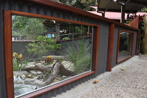 Kuranda Koala Gardens And Birdworld Admission Tickets - Accommodation Brisbane 4