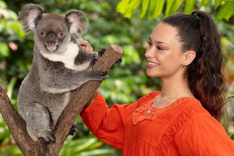 Kuranda Wildlife Experience Three Attraction Pass - Accommodation Brisbane 4