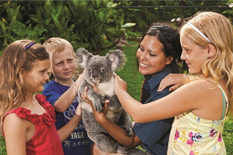 Kuranda Koala Gardens General Entry Ticket - Accommodation Brisbane 0