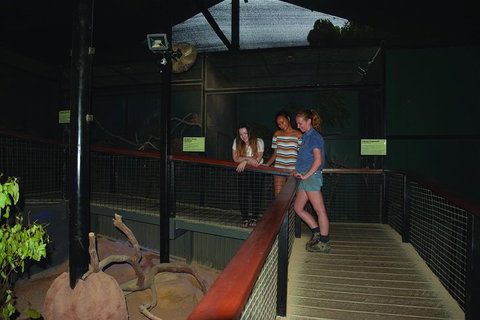 Kuranda Koala Gardens General Entry Ticket - Accommodation Brisbane 2