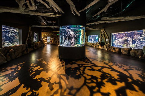 Cairns Aquarium Tour By Twilight With Drink And Appetiser - Accommodation Brisbane 1
