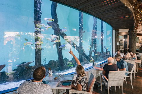 Cairns Aquarium Tour By Twilight With Drink And Appetiser - Accommodation Brisbane 3