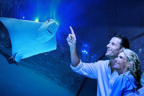 Cairns Aquarium Tour By Twilight With Drink And Appetiser - Accommodation Brisbane 4