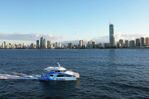 Whale Watching By Sea World Cruises - Accommodation Brisbane 1