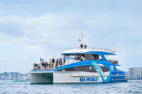 Whale Watching By Sea World Cruises - Accommodation Brisbane 3