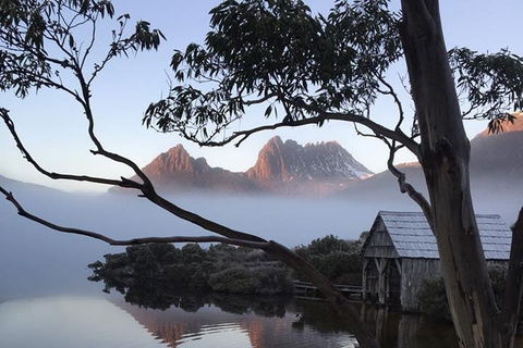 Cradle Mountain Park Explorer Guided Tour - Accommodation Brisbane 5