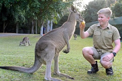 Small-Group Australia Zoo Day Trip From Brisbane - Accommodation Brisbane 4