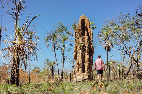 Litchfield National Park Waterfalls And Wildlife Tour From Darwin - Accommodation Brisbane 4