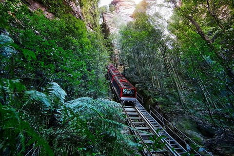 Blue Mountains Private Tour With Kangaroos & Koala Encounter - Accommodation Brisbane 1