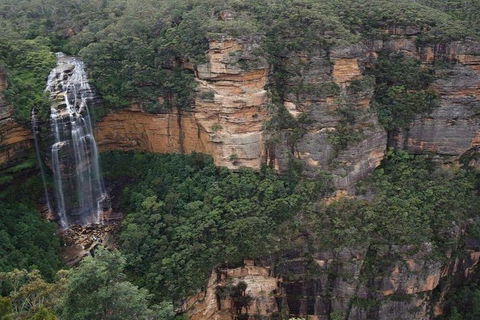 Blue Mountains Private Tour With Kangaroos & Koala Encounter - Accommodation Brisbane 2