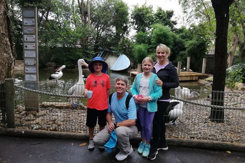 Blue Mountains Private Tour With Kangaroos & Koala Encounter - Accommodation Brisbane 4
