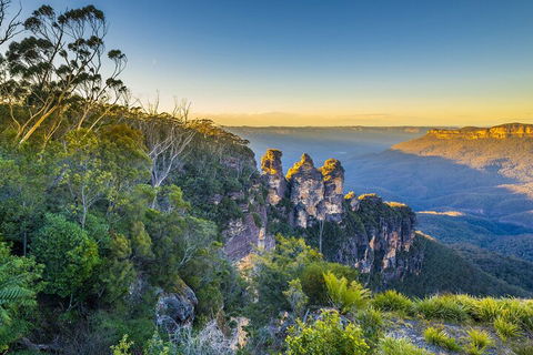 Blue Mountains Private Tour With Kangaroos & Koala Encounter - Accommodation Brisbane 5