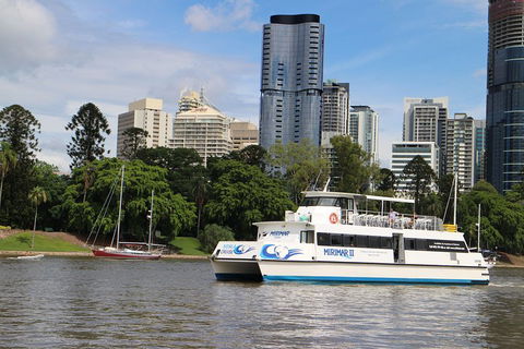 Lone Pine Koala Sanctuary Admission With Brisbane River Cruise - Accommodation Brisbane 2