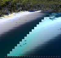 All-Inclusive Fraser Island Day Tour - Accommodation Brisbane