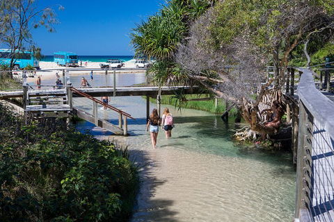 All-Inclusive Fraser Island Day Tour - Accommodation Brisbane 4
