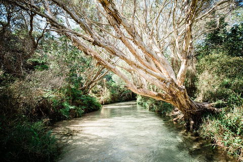 3-Day Fraser Island Resort Package - Accommodation Brisbane 5
