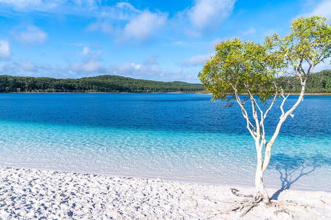 Lake McKenzie Full-Day Tour With Lunch From Hervey Bay - Accommodation Brisbane 1