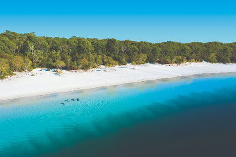 Lake McKenzie Full-Day Tour With Lunch From Hervey Bay - Accommodation Brisbane 4