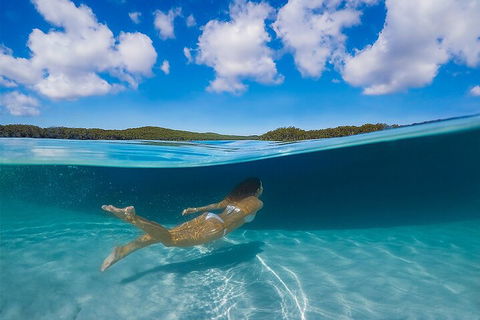 Lake McKenzie Full-Day Tour With Lunch From Hervey Bay - Accommodation Brisbane 5
